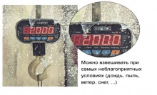 Крановые весы ВК ЗЕВС ІІІ-3000